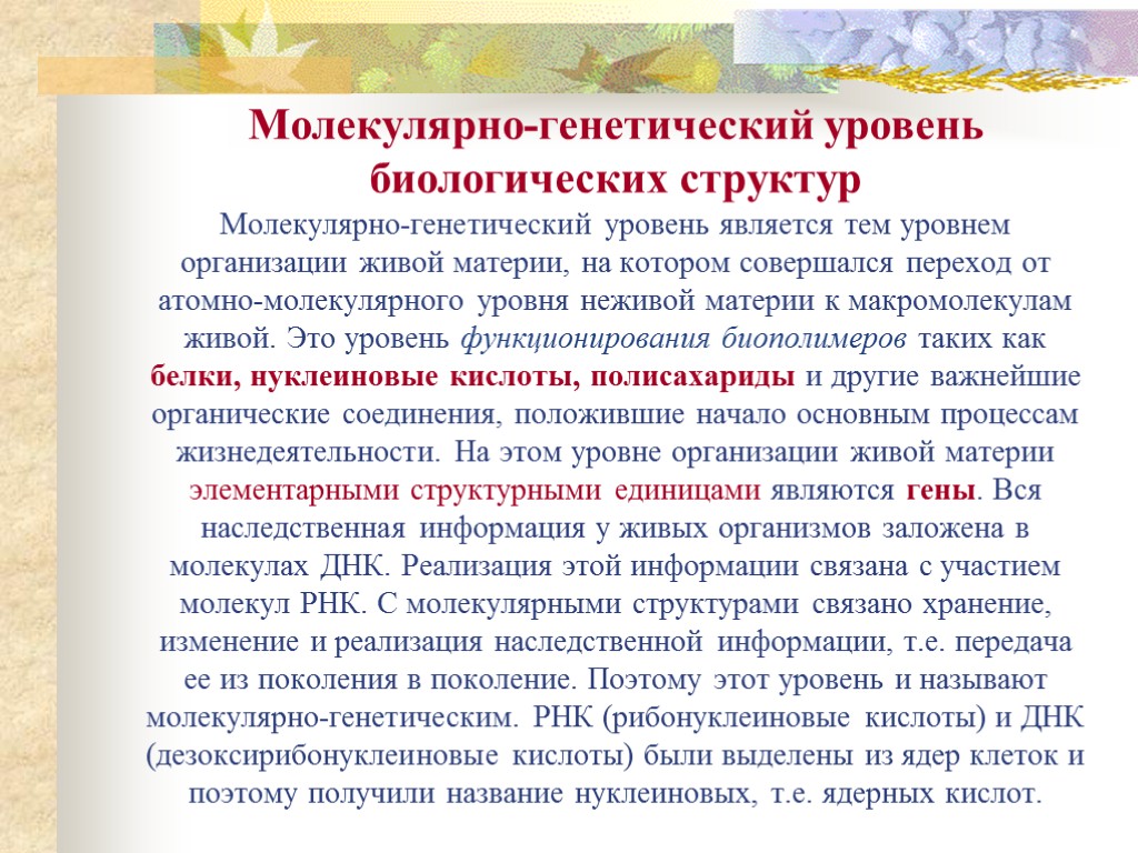 Молекулярно-генетический уровень биологических структур Молекулярно-генетический уровень является тем уровнем организации живой материи, на котором